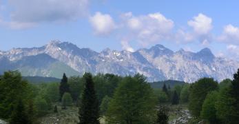 Il Gruppo del Cavallo 