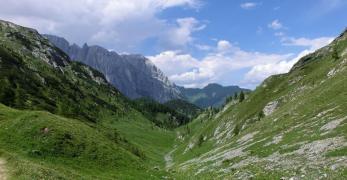 La Val Pettorina salendo a Forcella Pianezze 