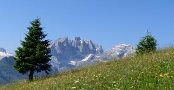 Le Pale di San Martino dal Col Mont 