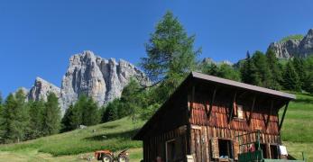 Baita Col Mont. Sullo sfondo, le Cime dell'Auta 