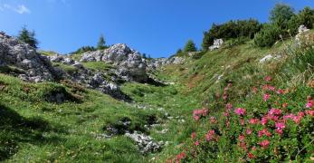 Salendo in cima alla Lastia di Framont