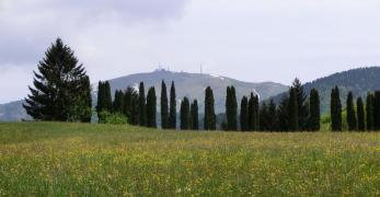 Prateria in località Melere. Sullo sfondo, il Col Visentin