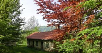 Casera in Val Brenta