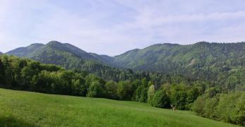 La Val Brenta. Sullo sfondo, il Col de Boneta e il Monte Boral