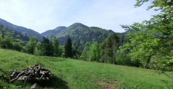 La Val Brenta. Sullo sfondo, il Col de Boneta e il Monte Boral