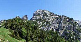 Il Monte Neva dal Col San Piero