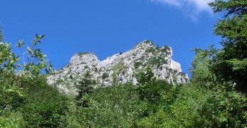 Il Monte Pizzocco dal sentiero per Forcella Intrigos