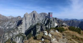 La cima della Pala Alta. Sullo sfondo, il Monte Pelf, la Pala Tissi e il Burel