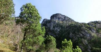 Sul sentiero verso Forcella San Giorgio