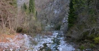 Il greto del Torrente Cellina nei pressi del Pian del Muscol