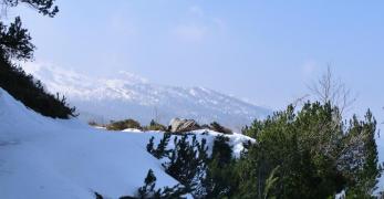 Tratto innevato lungo la Strada degli Alpini