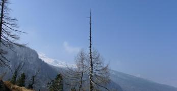 Lungo la Strada degli Alpini