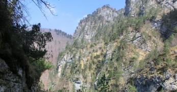 Lungo la Strada degli Alpini