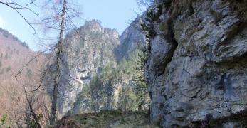 Lungo la Strada degli Alpini