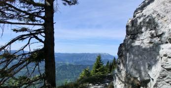 Tratto della mulattiera sul versante settentrionale del Monte Coppolo