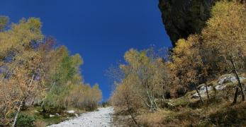 Ghiaione lungo la discesa del Venal di Funes