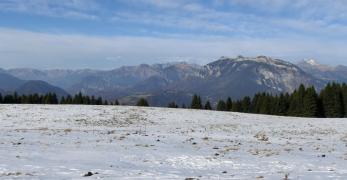 Il Monte Coppolo dai pascoli di Malga Campon