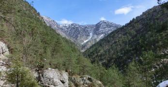 Il Vallone del Ru di Palcoda. Sullo sfondo, il crinale del Monte Brusò