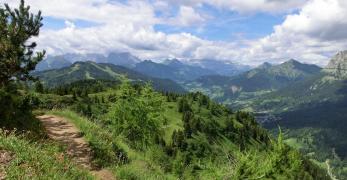 La mulattiera del Monte Crot verso Passo Staulanza