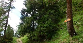 L’imbocco del sentiero per il Monte Crot da Passo Staulanza