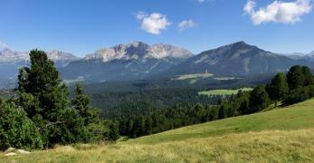 I prati sul versante orientale del Corno Bianco. Sullo sfondo, la Pala di Santa, il Latemar e il Catinaccio