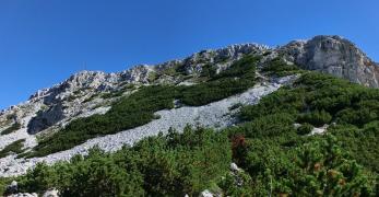 La schiena sommitale del Corno Bianco