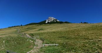 I Prati di Lana sul versante meridionale del Corno Bianco