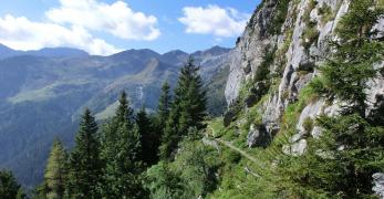 Lungo la cengia sul versante ovest del Pal Piccolo. Sullo sfondo, il Monte Floriz 