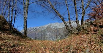 La selletta tra le due cime di San Daniele del Monte. Sullo sfondo, la cresta del Monte Resettum