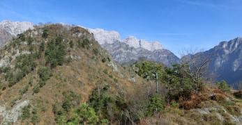 Verso Forcella Vallata. Sullo sfondo, San Daniele del Monte e la cresta del Monte Resettum