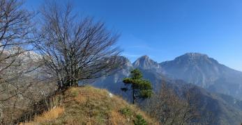 La vetta del Monte Lupo. Sullo sfondo, i Monti Corta, Castello e Raut