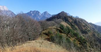 Lungo la dorsale del Monte Lupo. Sullo sfondo, i Monti Corta e Castello