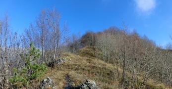 Salendo le pendici del Monte Lupo